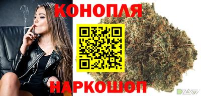 Альфа ПВП Волгодонск