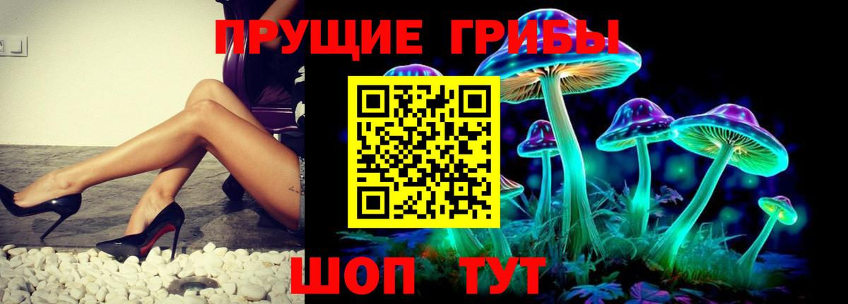 Балахна  Псилоцибиновые грибы GOLDEN TEACHER  Вход с VPN 